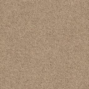 Tan Charm Beige/Tan Carpet