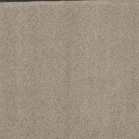 Textured Saxony Quiet Light Beige/Tan Carpet