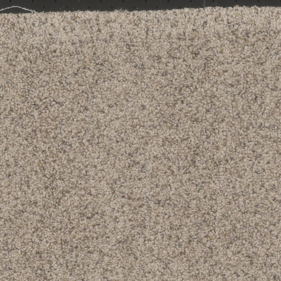 Textured Saxony Quiet Light Beige/Tan Carpet