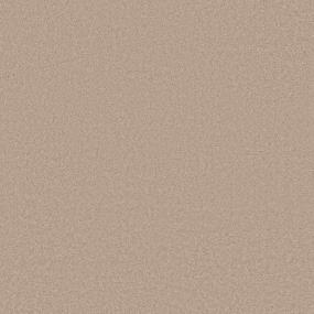 Textured Saxony Fuzzy Beige/Tan Carpet