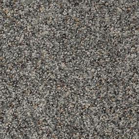 Textured Saxony Vienna Gray Carpet