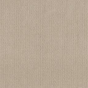 Pattern Ambiance Beige/Tan Carpet