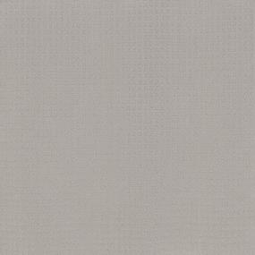 Pattern Weathered Slate Beige/Tan Carpet