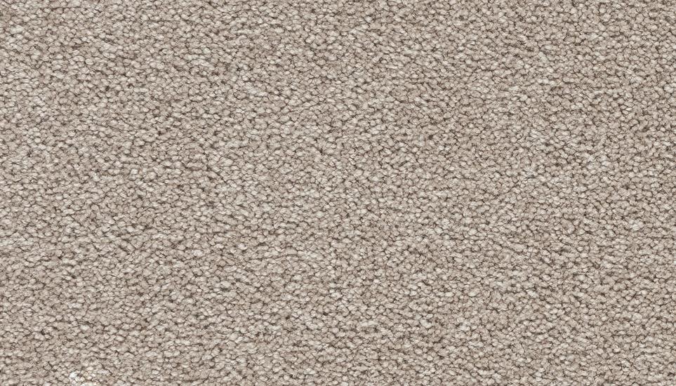 Textured Saxony Cove Beige/Tan Carpet