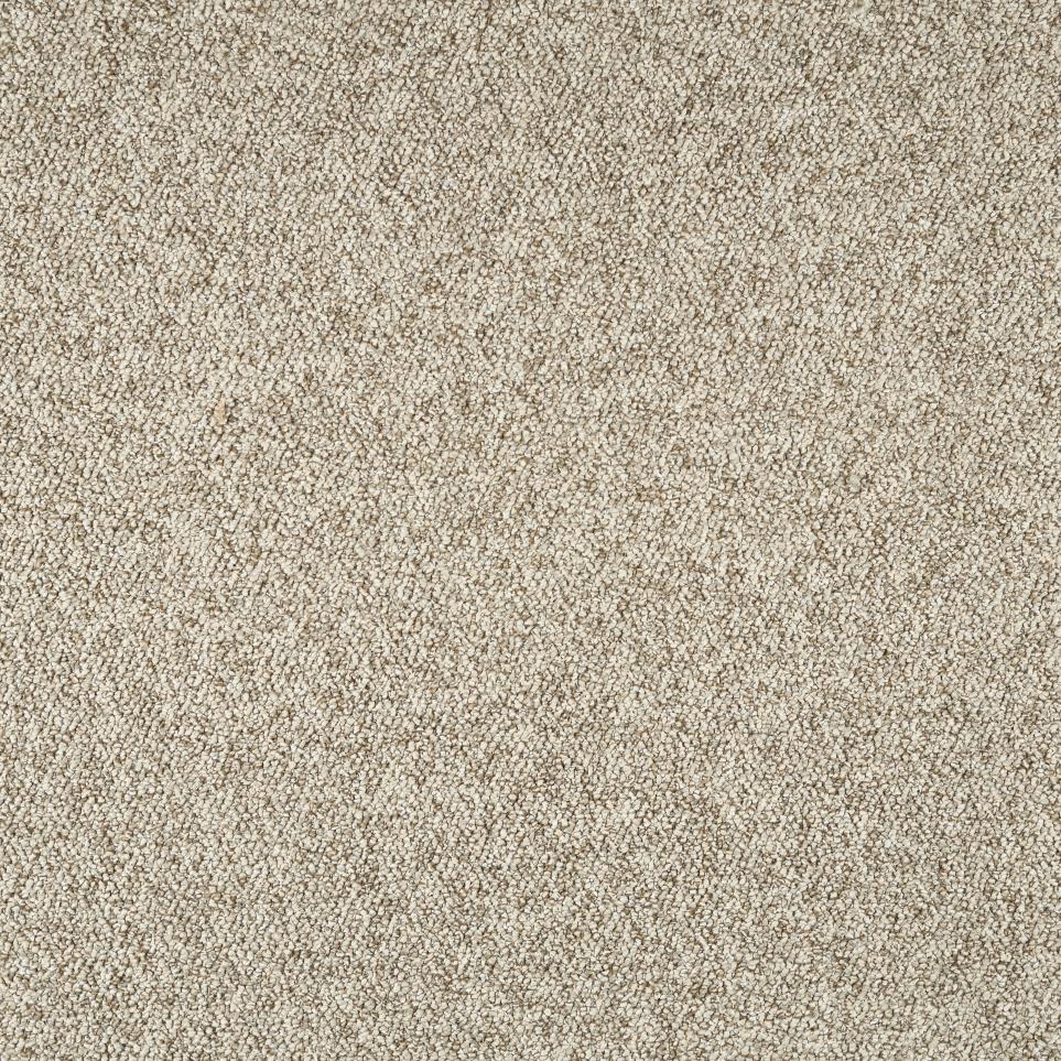 Berber Optimism Brown Carpet