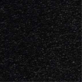 Casual Texture Carbon Black Carpet