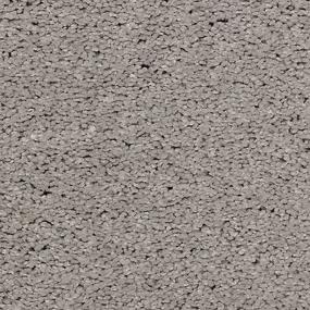 Textured Saxony Dreams Gray Carpet