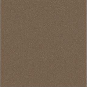 Textured Saxony Fawn Brown Carpet