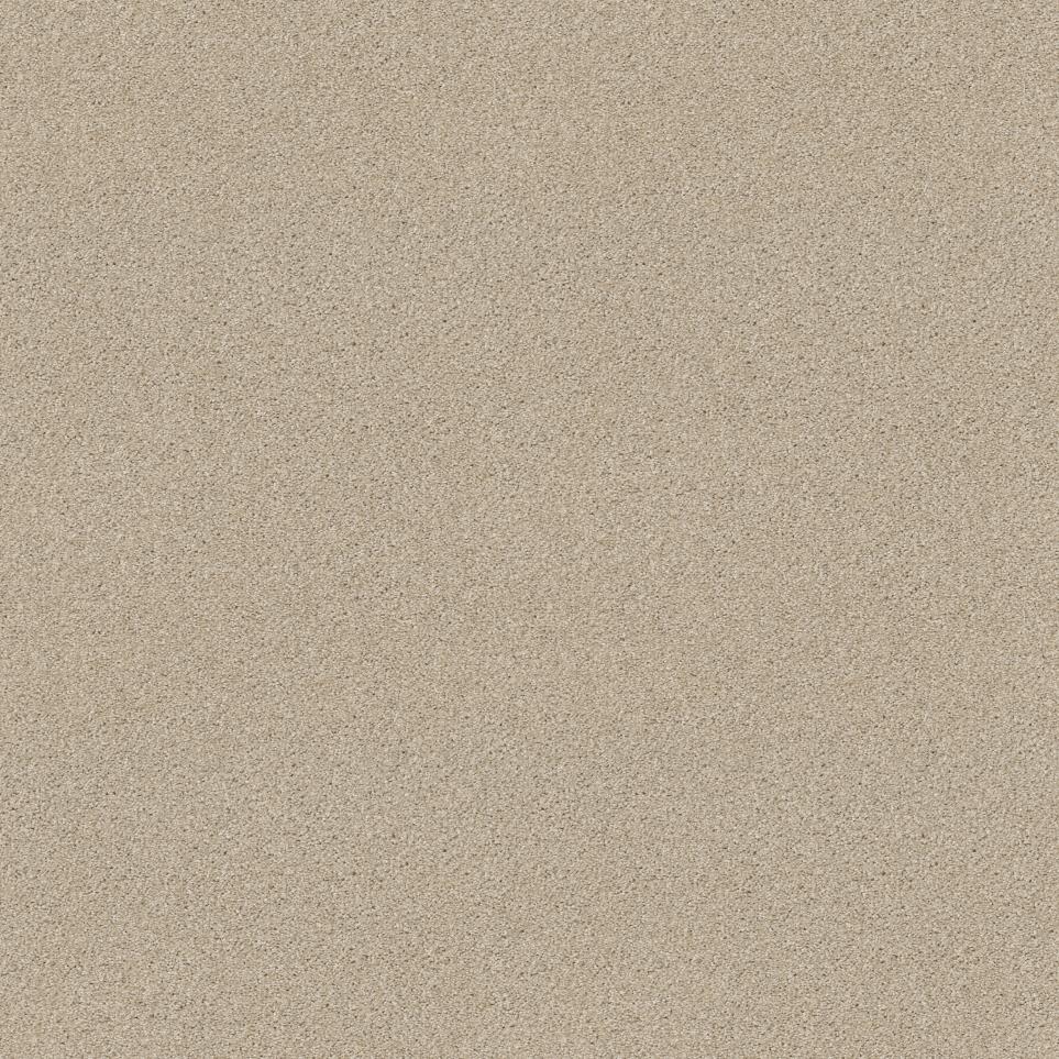 Texture Hopeful Beige/Tan Carpet