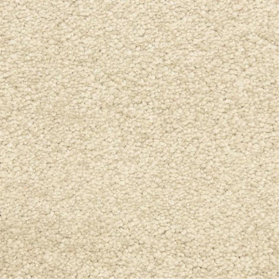 Casual Texture Ledge Beige/Tan Carpet
