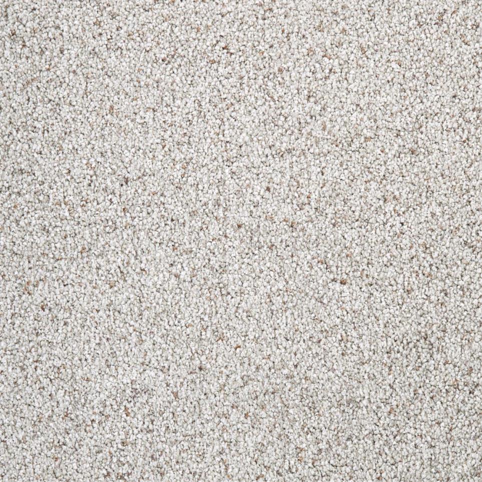 Textured Saxony Astute Beige/Tan Carpet
