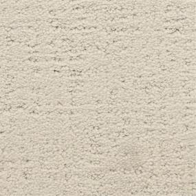 Pattern Driftwood Beige/Tan Carpet