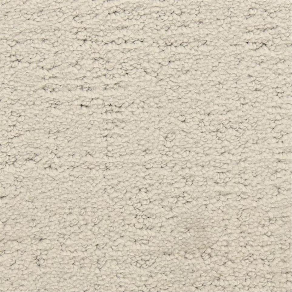 Pattern Driftwood Beige/Tan Carpet