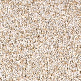Textured Saxony Serenity Beige/Tan Carpet