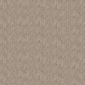 Pattern Whirlwind Beige/Tan Carpet