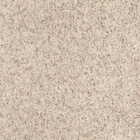 Textured Saxony Pet Brown Carpet