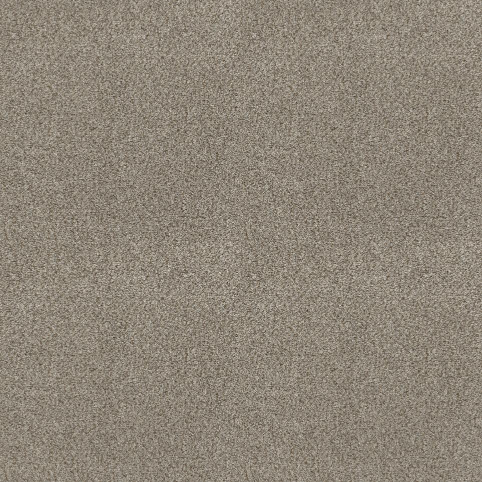 Texture Crockery Beige/Tan Carpet