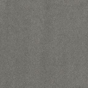 Textured Saxony Validity Gray Carpet