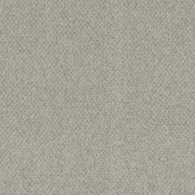 Berber Everlasting Gray Carpet