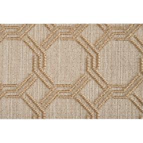 Woven Sandstone Beige/Tan Carpet