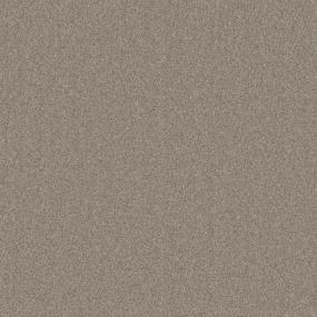 Textured Saxony Harmonious Gray Carpet