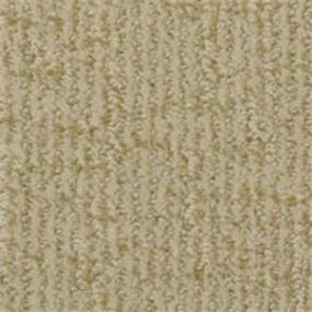 Pattern Curry Beige/Tan Carpet