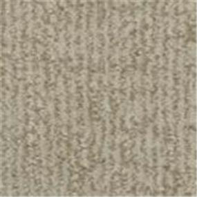 Pattern Fossil  Carpet