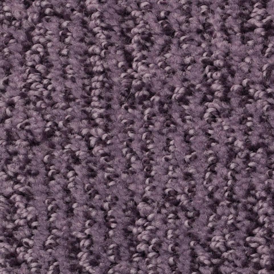 Pattern Plum Purple Carpet