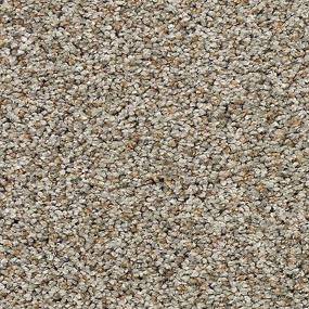 Textured Saxony Ancient Ruins Beige/Tan Carpet
