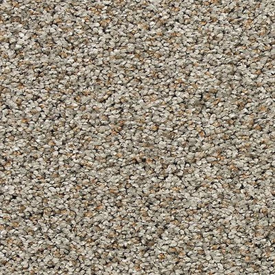 Textured Saxony Ancient Ruins Beige/Tan Carpet