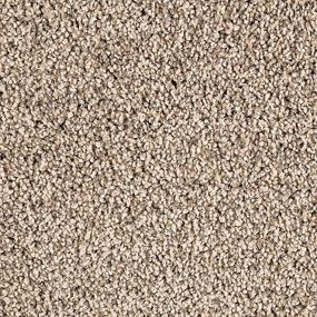 Textured Saxony Enigma Beige/Tan Carpet