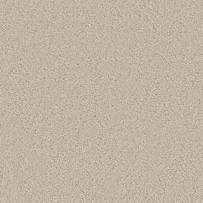 Pattern Pale Stucco Beige/Tan Carpet