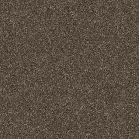 Textured Saxony Painted Desert Brown Carpet