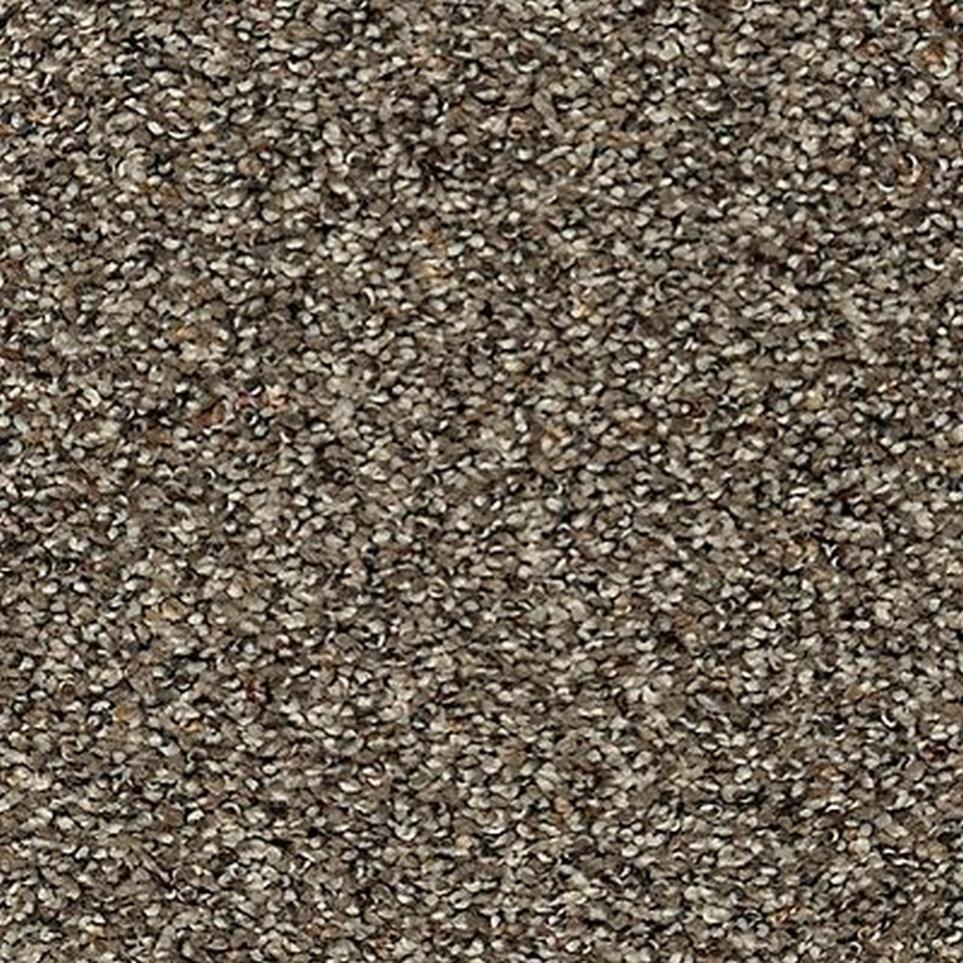 Pattern Woodland Brown Carpet