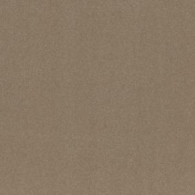 Textured Saxony Corkwood Beige/Tan Carpet