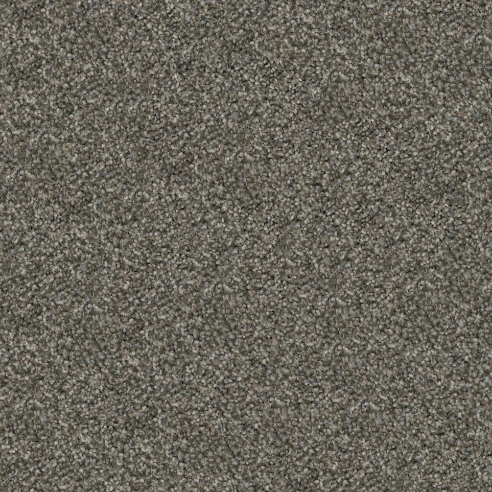 Plush Authentic Gray Carpet