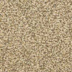 Textured Saxony Mill Stone Beige/Tan Carpet