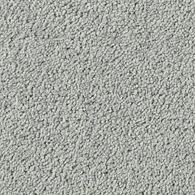 Textured Saxony Ridgeline Gray Carpet