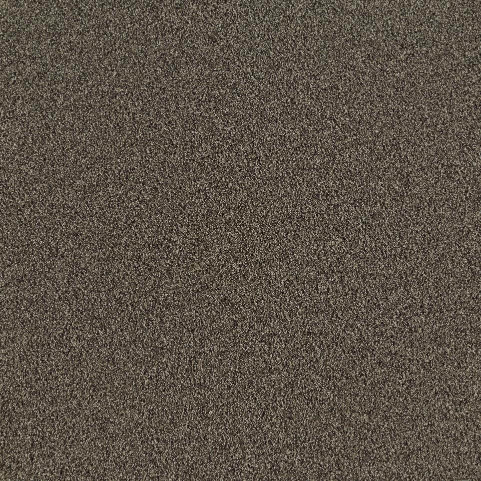 Texture Sonora Brown Carpet