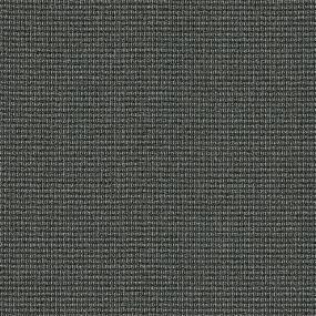 Multi-Level Loop Austere Black Carpet