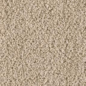 Textured Saxony Sometimes Brown Carpet