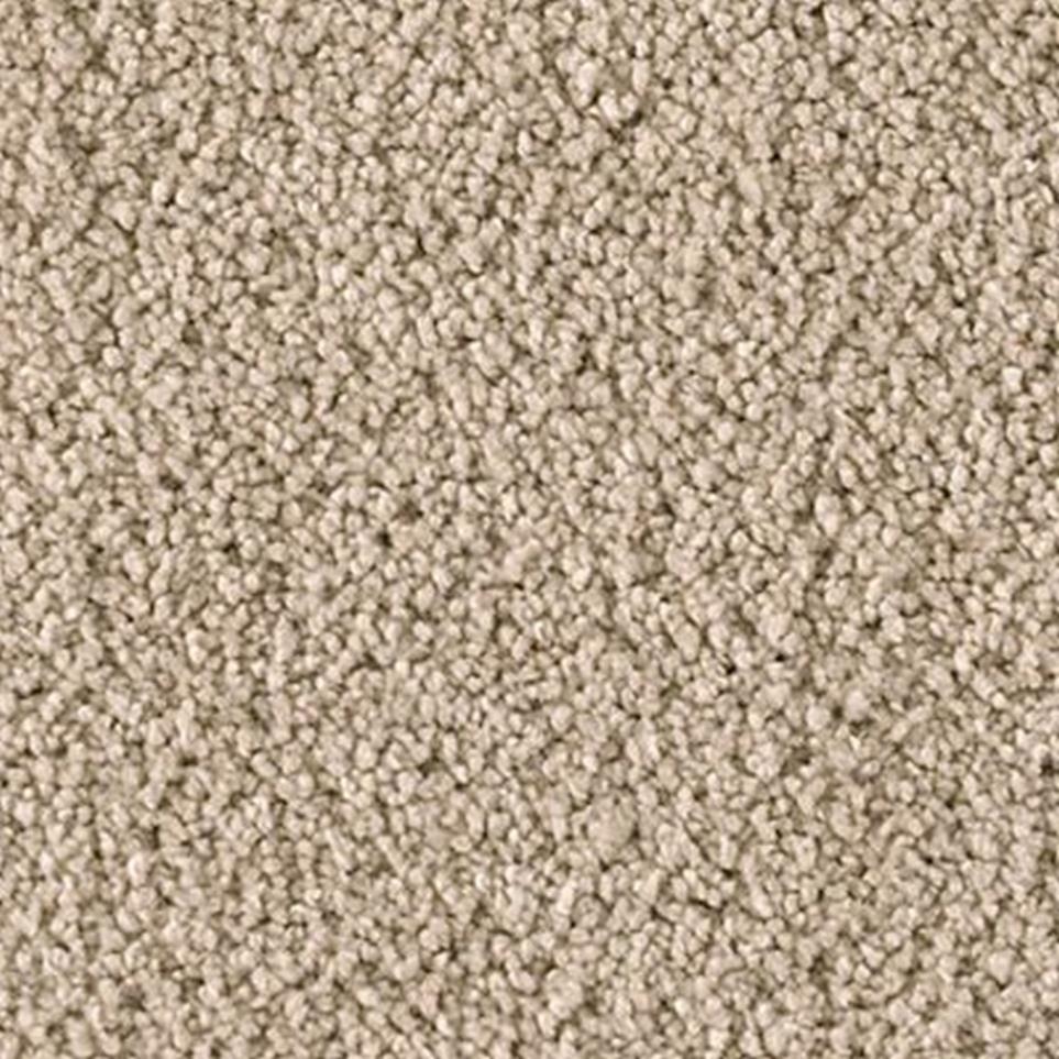 Textured Saxony Sometimes Brown Carpet