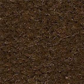 Cut Pile Molasses Brown Carpet