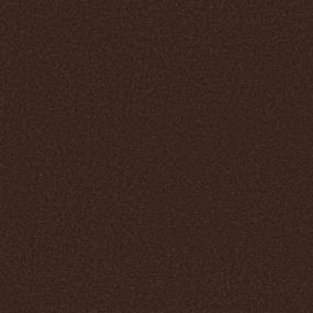 Textured Saxony Espresso Black Carpet