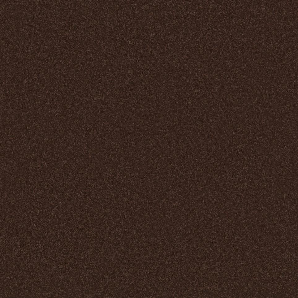 Textured Saxony Espresso Black Carpet