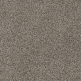 Textured Saxony Success Story Beige/Tan Carpet