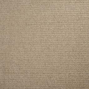 Pattern Thatch Beige/Tan Carpet