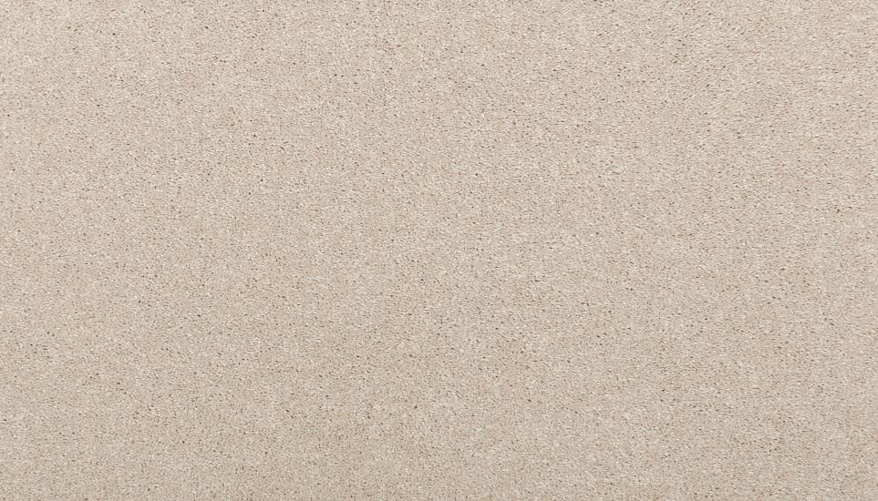 Textured Saxony Purity Beige/Tan Carpet