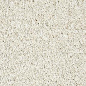 Textured Saxony Equestrian Beige/Tan Carpet