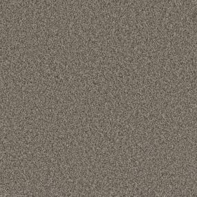 Textured Saxony Soft Sound Beige/Tan Carpet
